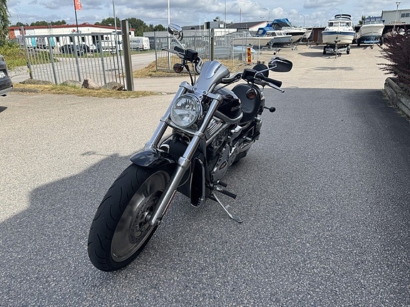 Harley-Davidson VRSCA V-Rod 1.1 5 of 11