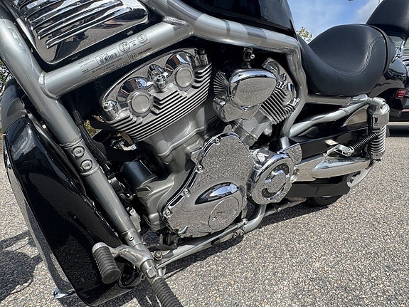 Harley-Davidson VRSCA V-Rod 1.1 10 of 11