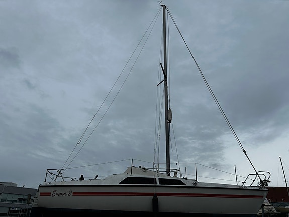 Maxi 77 3 of 17
