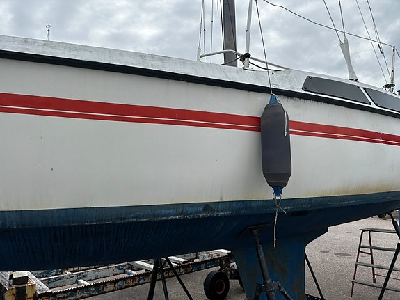 Maxi 77 9 of 17