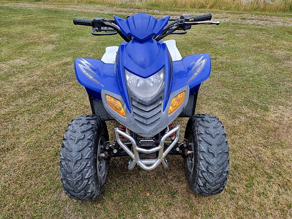 Dinli L110 Enforcer / D605 3 of 14