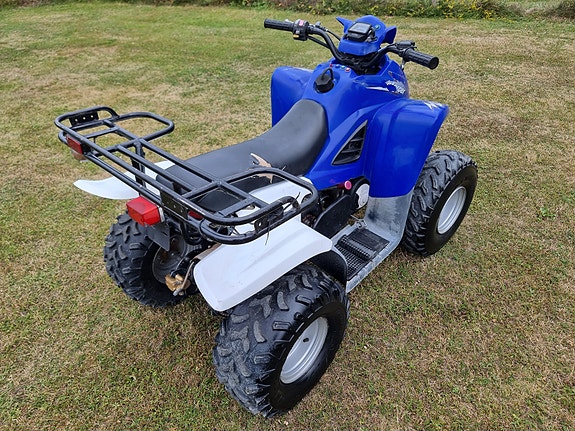 Dinli L110 Enforcer / D605 6 of 14