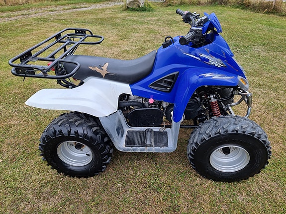 Dinli L110 Enforcer / D605 5 of 14