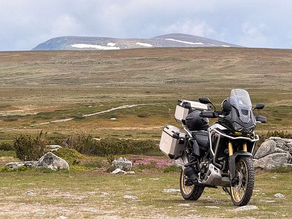 Honda CRF1100D2 6 of 6