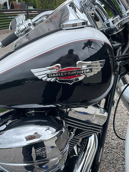 Harley-Davidson Softtail Deluxe (Flstni) 6 of 9