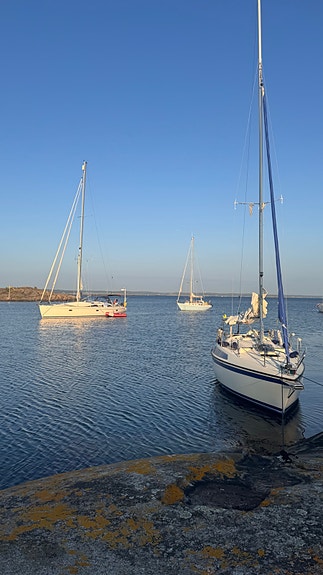 Segelbåt  – Sunwind 27 5 of 12