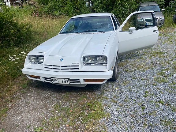 Buick Skyhawk 6 of 10