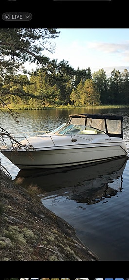 Carver yachts 260 special edition 2 of 10
