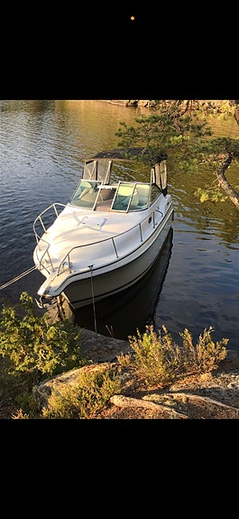 Carver yachts 260 special edition 3 of 10