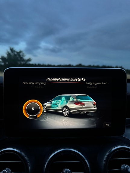 Mercedes-Benz C450 15 of 17