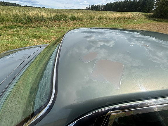 Jaguar Sovereign 19 of 30