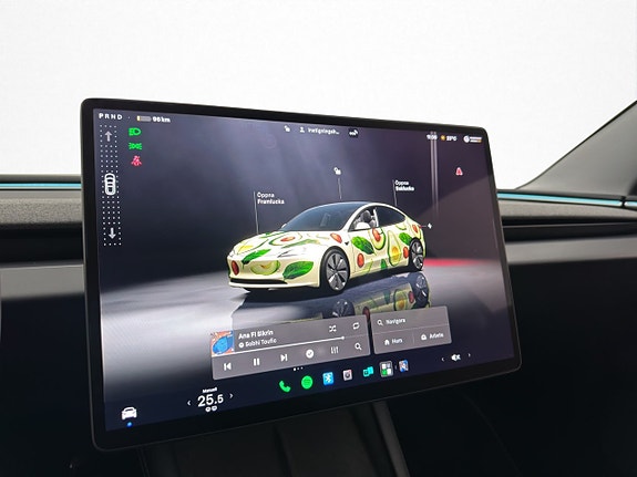 Tesla Model 3 25 of 30