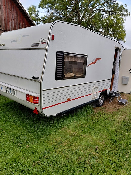 Solifer Goldie 530 2 of 5