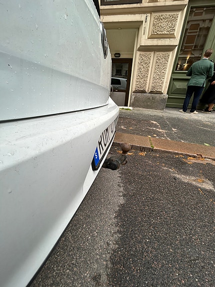 Volkswagen Golf VII 8 of 8