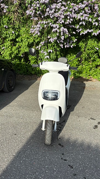 Sakura ZF2 3 of 6
