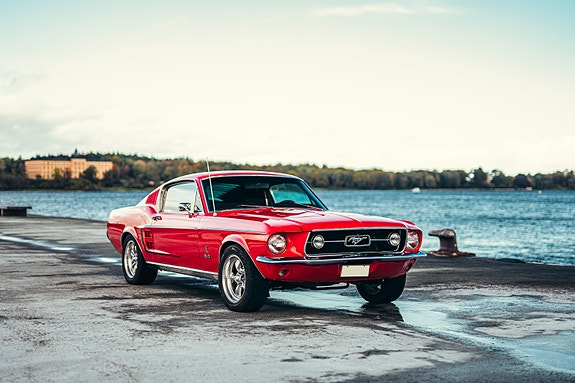 Ford Mustang 3 of 5