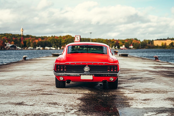 Ford Mustang 5 of 5