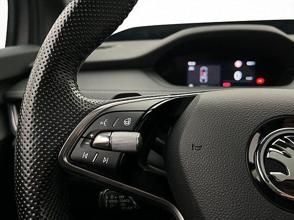 Skoda Enyaq Coupe RS 20 of 30