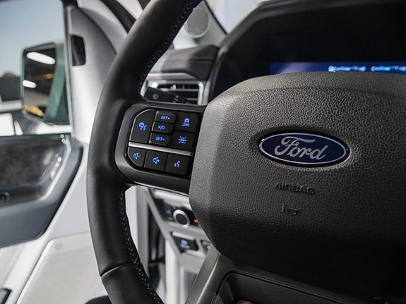 Ford F-150 19 of 30