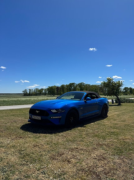 Ford Mustang 3 of 5