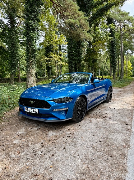 Ford Mustang 10 of 10