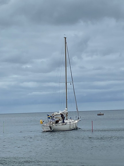 Hallberg Rassy Monsun 31 24 of 25