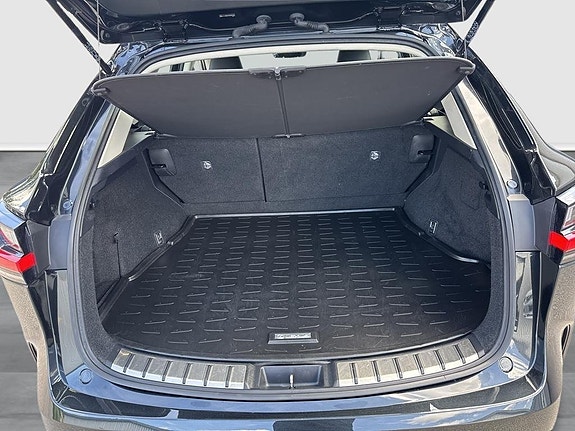 Lexus NX350h 10 of 13