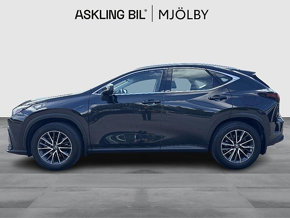 Lexus NX350h 3 of 5