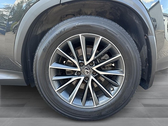 Lexus NX350h 11 of 13