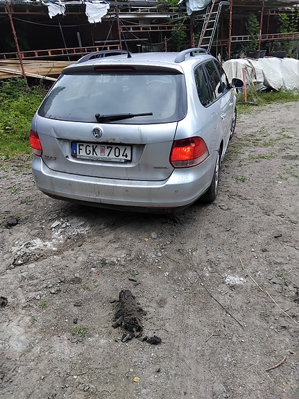 Volkswagen Golf V 3 of 5