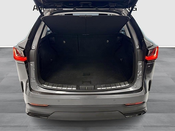 Lexus NX450h+ 10 of 10