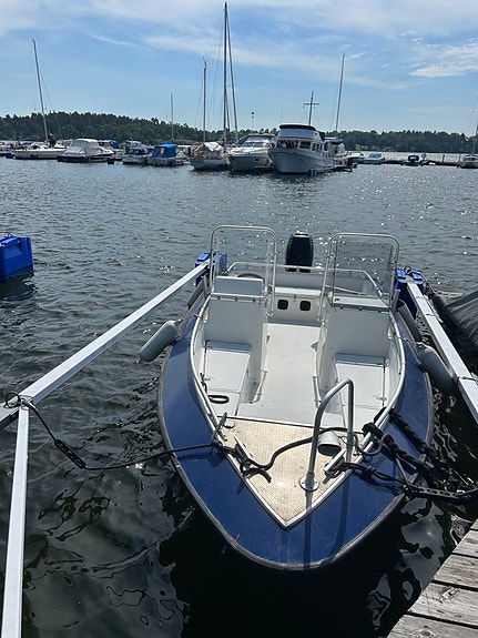 Silver Hawk 520