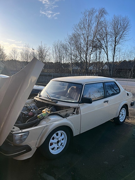 Saab 99 3 of 11