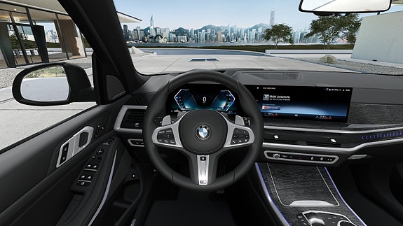 BMW X5 12 of 13