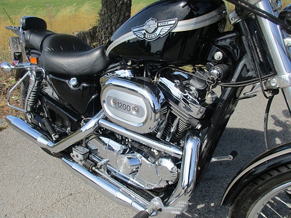 Harley-Davidson XL1200C Sportster Jubileumsmodell 2 of 3