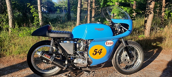 Triumph T100 GP500 7 of 8