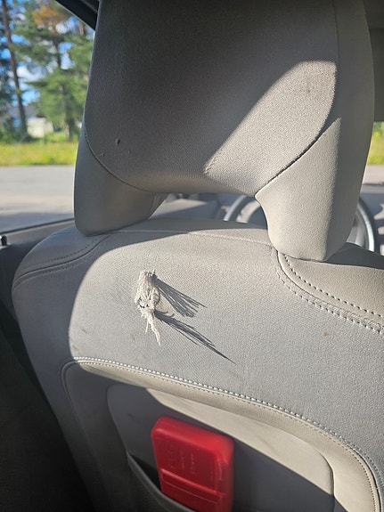 Volvo V50 6 of 11