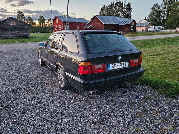 BMW 525i 3 of 3