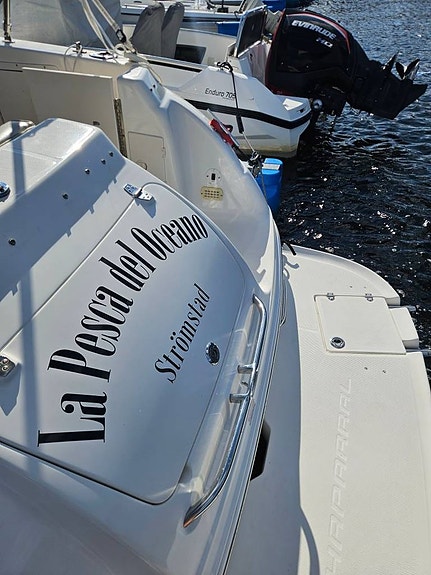 Chaparral 260 Signature Volvo penta 5,7L V8 i Bra skick 8 of 10