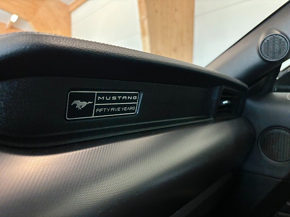 Ford Mustang 17 of 22