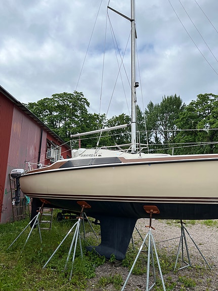 Maxi 77 6 of 8