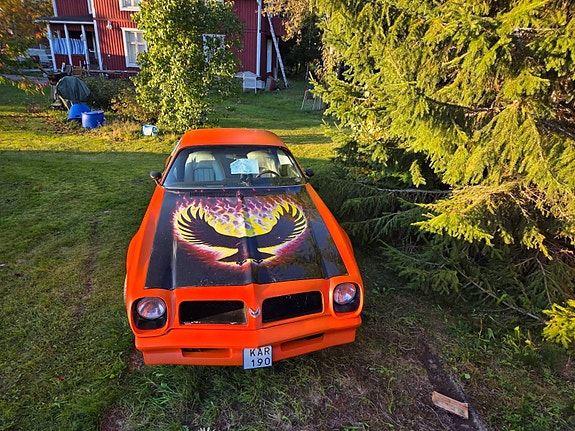 Pontiac Firebird 3 of 4