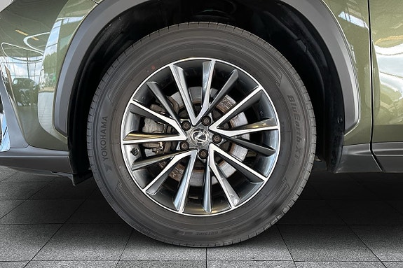 Lexus NX450h+ 8 of 16
