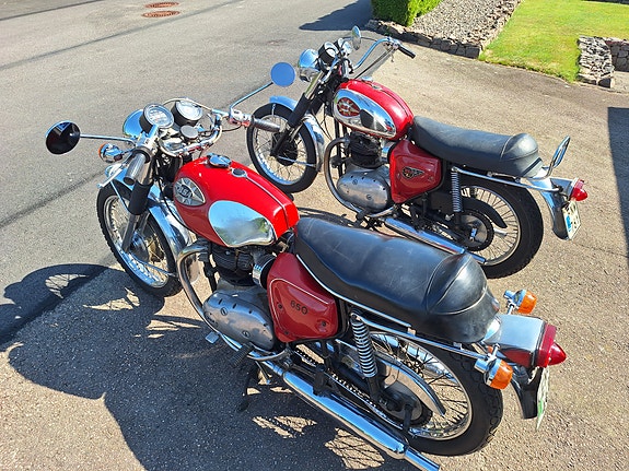 BSA A65 Lightning 5 of 5