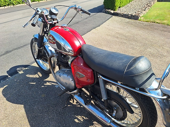 BSA A65 Lightning 3 of 5