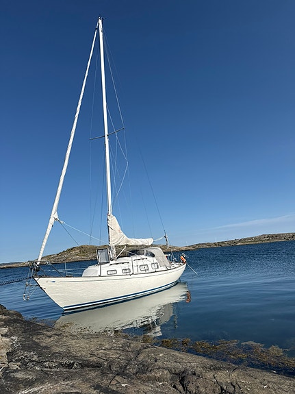 Arietta, 31 fot med bogpropeller samt nyare motor 2 of 15
