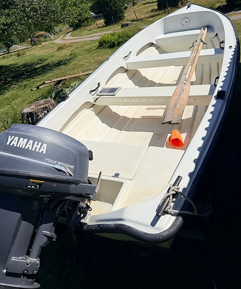 Motorbåt Ryds 460 med motor och kärra 4 of 6