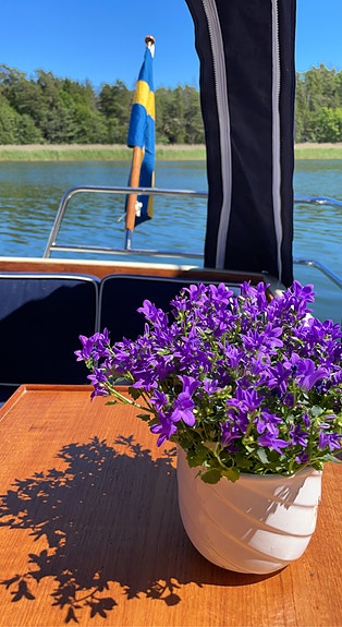 Orrskär 850 – kraftfull 260 hk motorbåt med hög komfort och goda sjöegenskaper 3 of 8