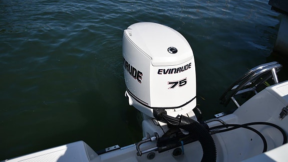 AMT 170 BRS Evinrude E-Tech 75 4 of 6