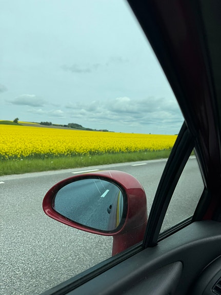 Citroen C4 11 of 12
